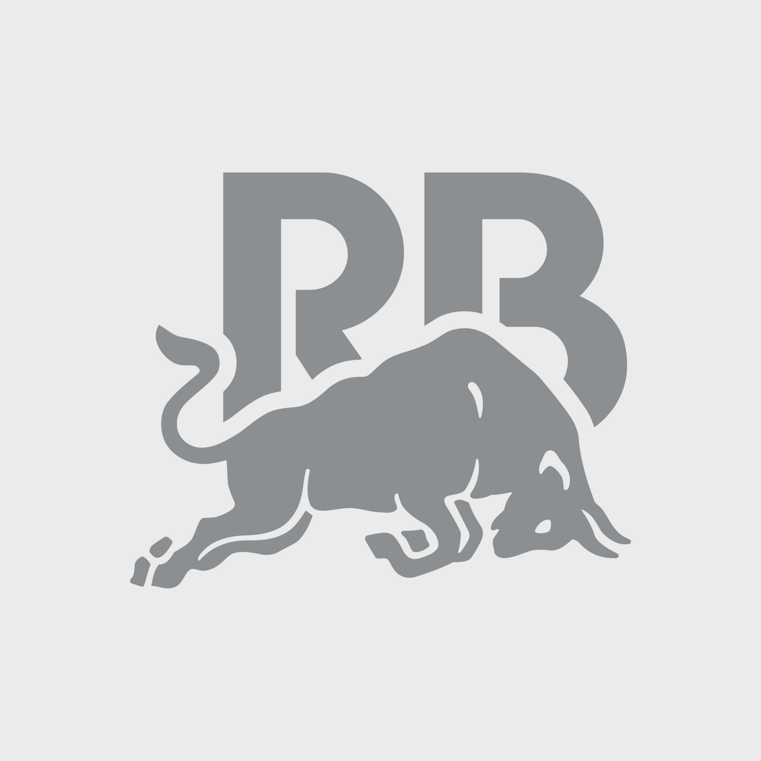 Racing Bulls